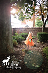 Fawn Fairy Inspired Halloween Costume