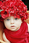 Red Silk Flower Hat