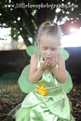 Tinkerbell Fairy Inspired Halloween Costume