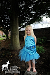 Silvermist Fairy Inspired Halloween Costume