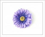 Purple Gerber Daisy Flower Hair Clip